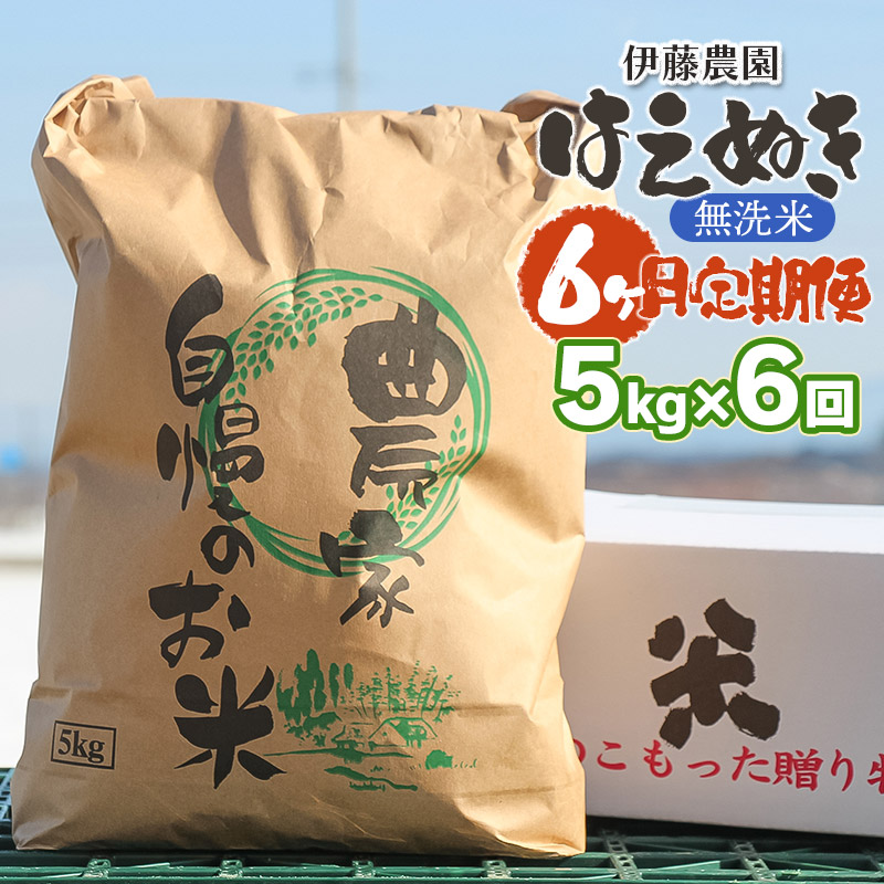 【令和7年産先行予約】【6ヶ月定期便】はえぬき 無洗米　5kg×6回　伊藤農園