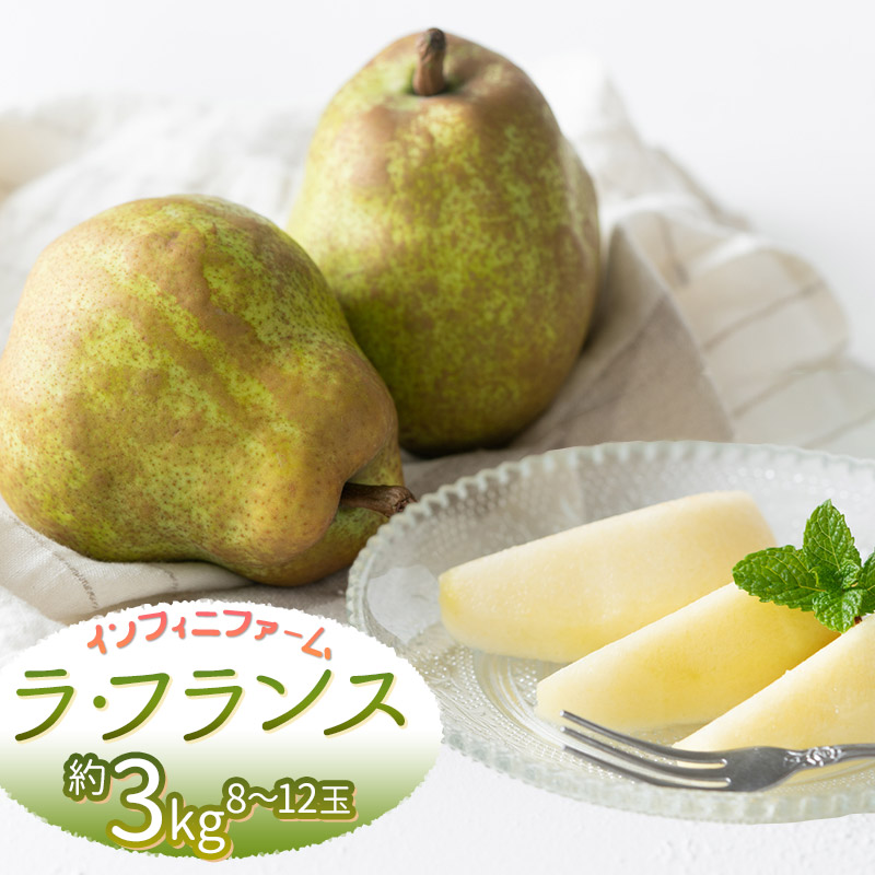 【令和7年産先行予約】鶴岡市産洋梨 ラ・フランス 約3kg（8～12玉）　インフィニファーム　K-728