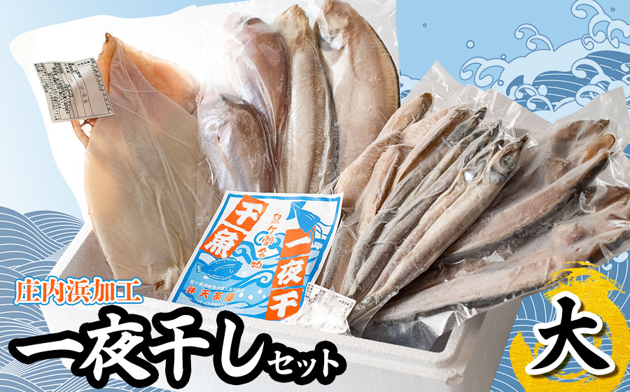 庄内浜加工　一夜干しセット（大）　鶴岡魚類株式会社　K-754