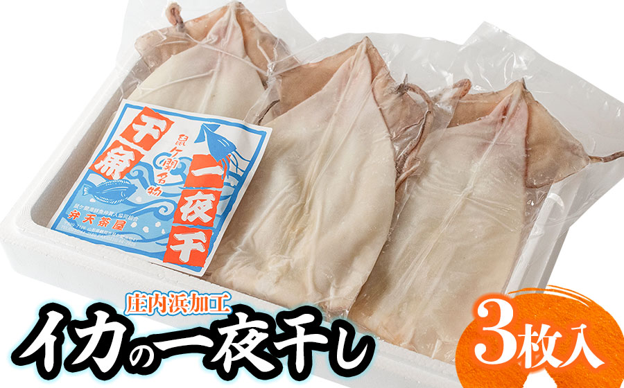 庄内浜加工　イカ一夜干し 3枚　鶴岡魚類株式会社　k-747