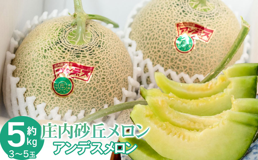 【令和8年産先行予約】菅原農園の庄内砂丘メロン 約5kg （3玉～5玉） アンデス メロン 【7月下旬～8月上旬】　k-839　菅原農園　鶴岡地区物産協同組合
