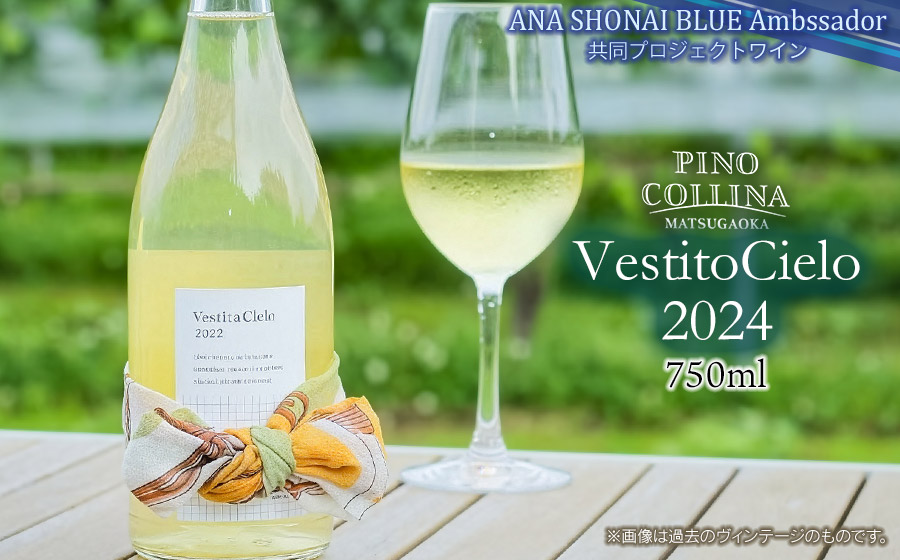 白ワイン　Vestito Cielo 2024　750ml×1本　株式会社エルサン　国産 日本ワイン