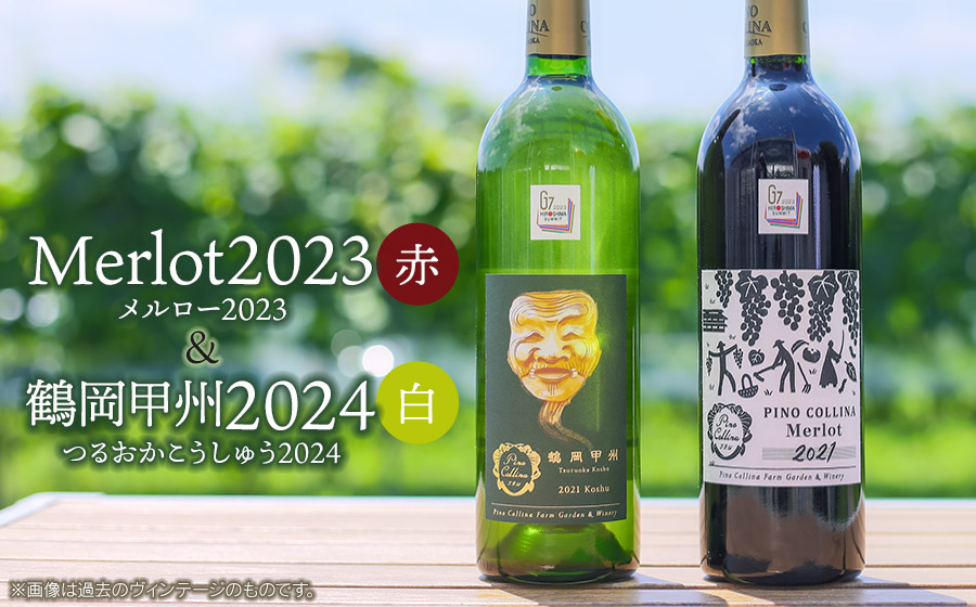 ワイン　「メルロー2023（赤）」「鶴岡甲州2024（白）」750ml×2本入　株式会社エルサン　国産 日本ワイン