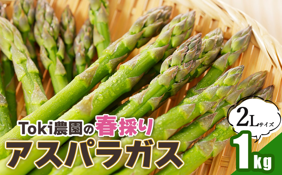【令和8年産先行予約】　春採りアスパラガス 2Lサイズ 1kg　山形県鶴岡産　Toki農園
