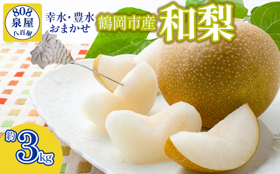 [令和8年産先行予約]鶴岡市産 和梨(品種おまかせ)幸水・豊水のどちらか1種 約3kg K-823