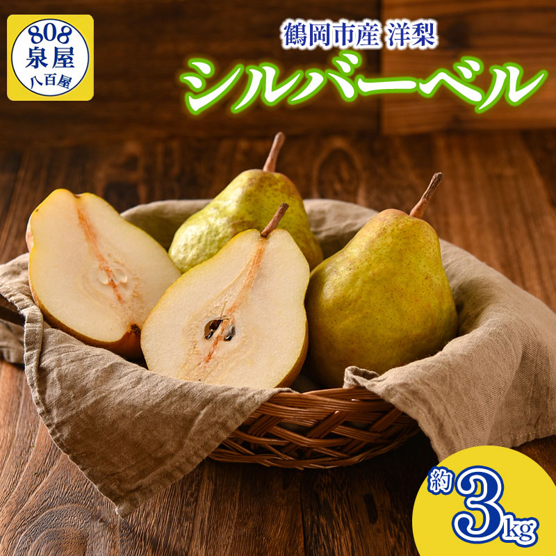 [令和8年産先行予約]鶴岡市産 シルバーベル(洋梨) 約3kg 泉屋商店 K-819