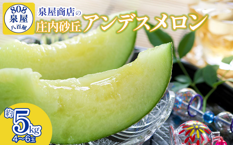 【令和8年産先行予約】泉屋商店の庄内砂丘アンデスメロン 約5kg（4～6玉入）　K-839