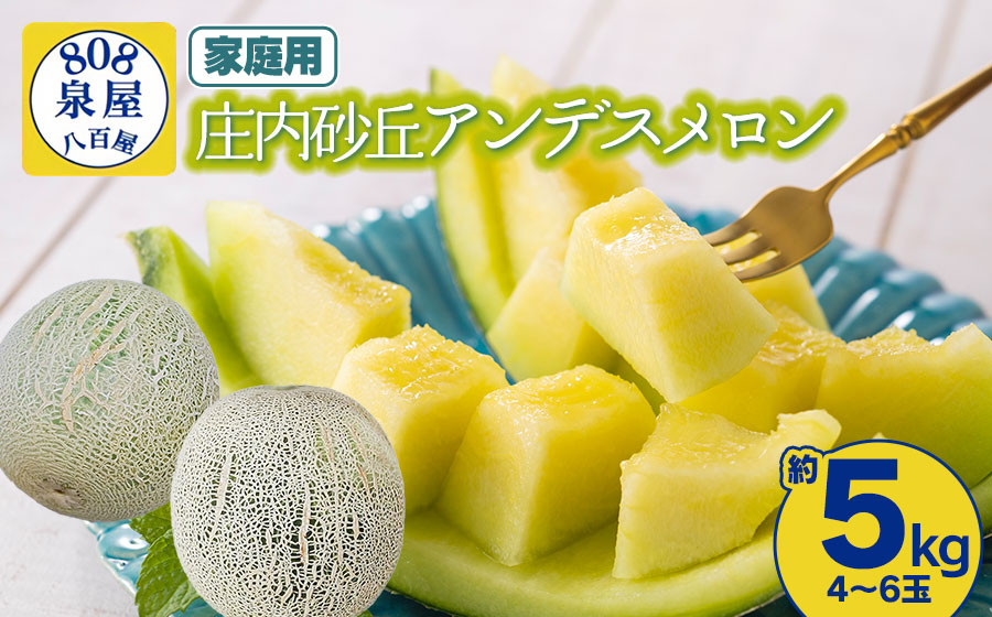 【令和8年産先行予約】【家庭用】泉屋商店の庄内砂丘アンデスメロン　約5kg（4～6玉）　K-830