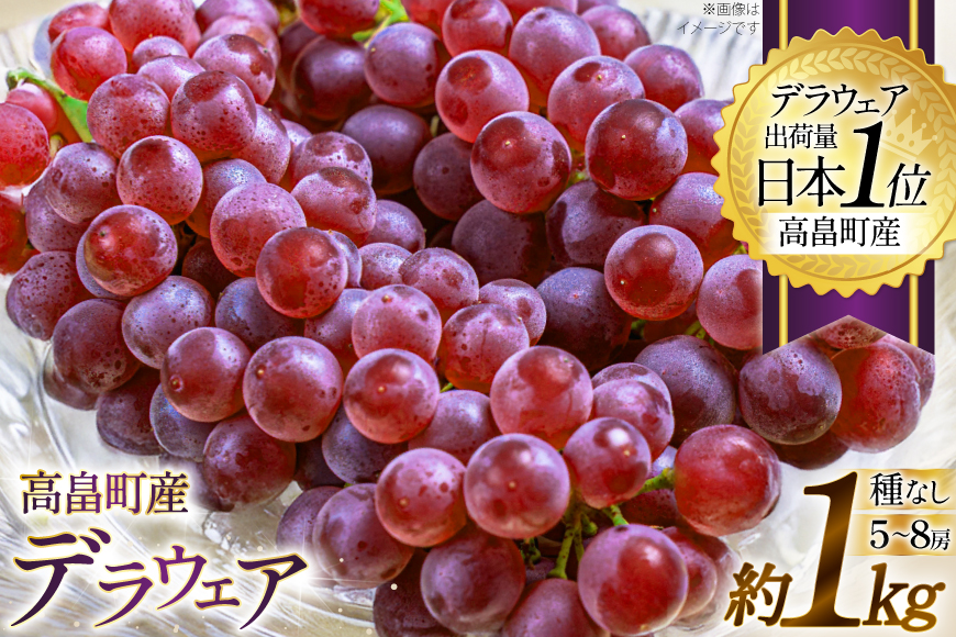 [期間限定発送] ぶどう デラウェア 5〜8房 約 1kg [いわた果樹園 山形県 高畠町 tk06ayt400003] 種無し ブドウ 葡萄 くだもの 果物 フルーツ 産地直送 農家直送