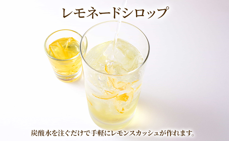 炭酸にピッタリ！シロップセット