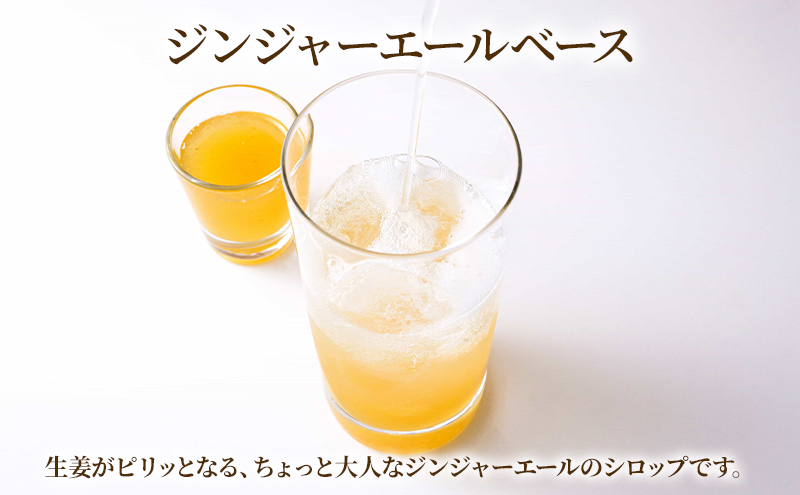 炭酸にピッタリ！シロップセット