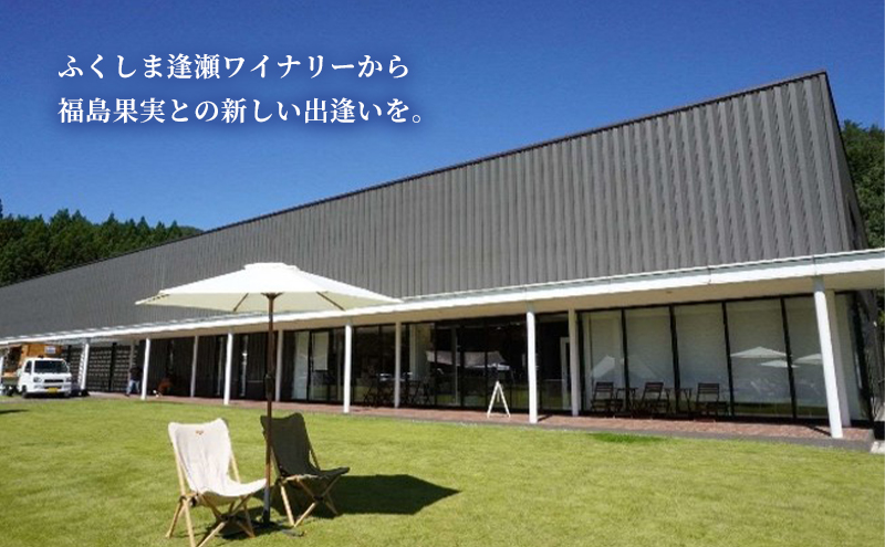 ふくしま もも SPARKLING 375ml×1本 カートン入