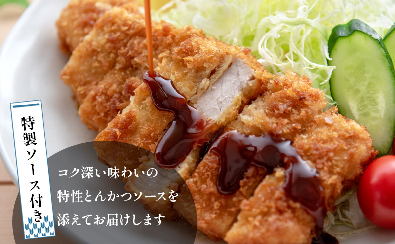 ロースかつとヒレかつ合盛セット【3～4人前】