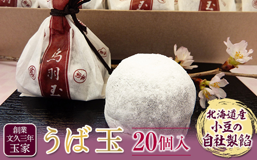 創業文久三年 玉家 うば玉20個入 お茶菓子 お茶請け 和菓子 菓子 食品 F21R-010