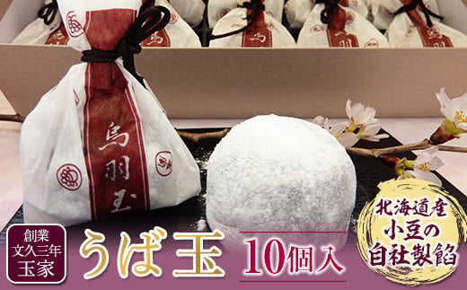 創業文久三年 玉家 うば玉10個入 お茶菓子 お茶請け 和菓子 菓子 食品 F21R-011