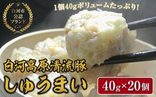 「白河高原清流豚」をメイン食材としたしゅうまい 1個40gとボリューム感のある一品(20個入り) おかず 冷凍 惣菜 加工品 食品 F21R-090