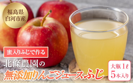 ご愛顧感謝!北條農園の無添加りんごジュース[ふじ]大瓶5本入り 1L リンゴ りんごジュース りんご 林檎 ジュース 果汁飲料 飲料 F21R-111