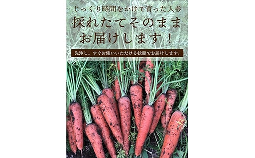 都内マルシェで人気のお野菜！ 甘みたっぷりフルーツにんじん 5kg  ニンジン 人参 にんじん 根菜 野菜 食品 F21R-196