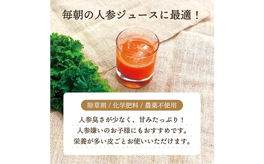 都内マルシェで人気のお野菜！ 甘みたっぷりフルーツにんじん 5kg  ニンジン 人参 にんじん 根菜 野菜 食品 F21R-196