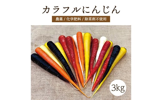 都内マルシェで人気のお野菜! [有機JAS認証]カラフルにんじん 3kg ニンジン 人参 にんじん 根菜 野菜 食品 F21R-197