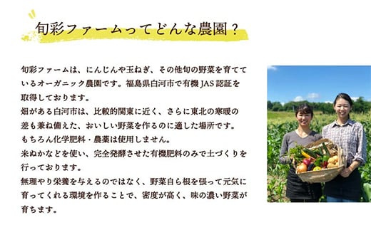 都内マルシェで人気のお野菜！ 〈有機JAS認証〉カラフルにんじん 3kg  ニンジン 人参 にんじん 根菜 野菜 食品 F21R-197
