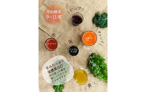 都内マルシェで人気のお野菜！ 〈有機JAS認証〉カラフルにんじん 3kg  ニンジン 人参 にんじん 根菜 野菜 食品 F21R-197