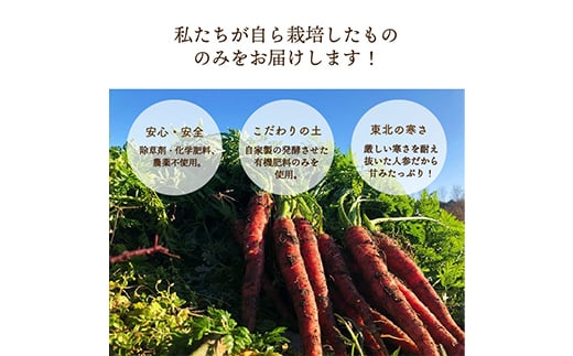 都内マルシェで人気のお野菜！ 〈有機JAS認証〉カラフルにんじん 3kg  ニンジン 人参 にんじん 根菜 野菜 食品 F21R-197