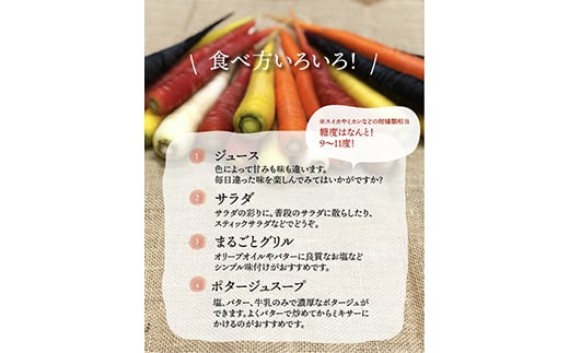 都内マルシェで人気のお野菜！ 〈有機JAS認証〉カラフルにんじん 5kg  ニンジン 人参 にんじん 根菜 野菜 食品 F21R-198