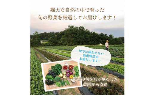 都内マルシェで人気のお野菜！ 秋冬 旬の野菜セットSサイズ(6品前後)  野菜 セット 詰め合わせ 詰合せ 食品 F21R-211