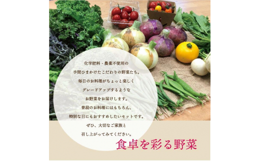 都内マルシェで人気のお野菜！ 秋冬 旬の野菜セットSサイズ(6品前後)  野菜 セット 詰め合わせ 詰合せ 食品 F21R-211