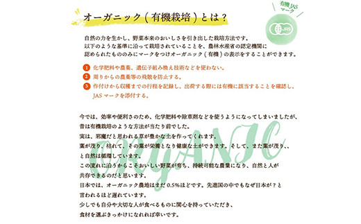 都内マルシェで人気のお野菜！ 《先行予約》春夏 旬の野菜セットSサイズ(6品前後)  野菜 セット 詰め合わせ 詰合せ 食品 F21R-213