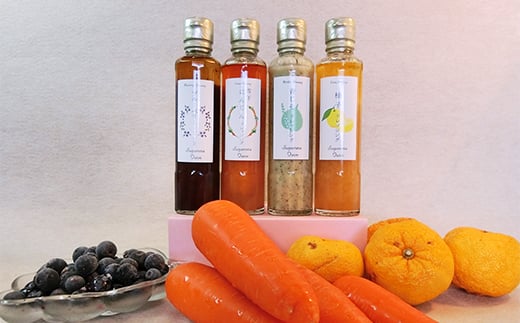 白河ブルーベリーヒル 特製ドレッシング4種セット  食品 F21R-575