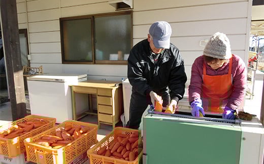 白河ブルーベリーヒル 特製ドレッシング4種セット  食品 F21R-575