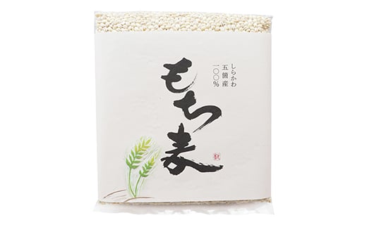 もち麦（六条大麦）1kg  もち米 食品 F21R-759