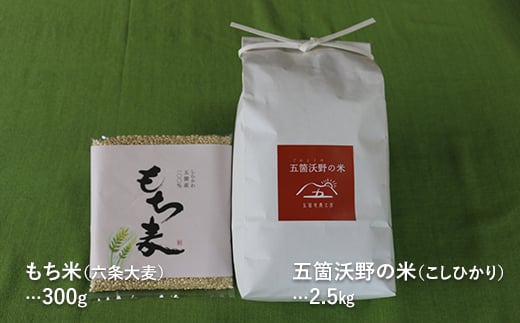 おいしい五箇沃野の米（こしひかり）2.5kgともち麦（六条大麦）300gセット  米 お米 コメ ごはん ご飯 食品 F21R-760