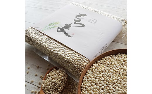 おいしい五箇沃野の米（こしひかり）2.5kgともち麦（六条大麦）300gセット  米 お米 コメ ごはん ご飯 食品 F21R-760