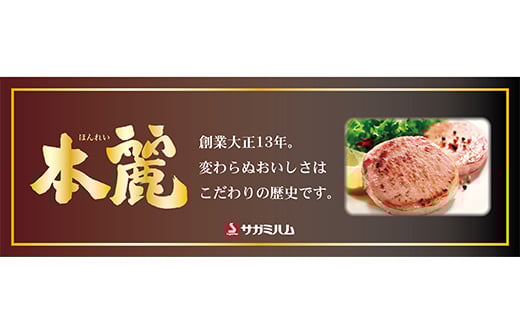 人気ブランド お楽しみハム＆ソーセージセット 本麗バラエティ5種詰め合せ  肉 加工品 食品 F21R-872