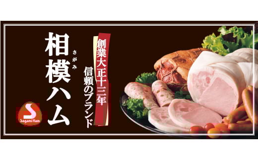 人気ブランド お楽しみハム＆ソーセージセット 本麗バラエティ5種詰め合せ  肉 加工品 食品 F21R-872