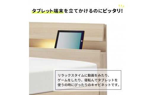 フランスベッド ファディアC2（電動リクライニングタイプ）  電動ベッド専用マットレス シングル　グレージュ（KGY）  家具 F23R-369