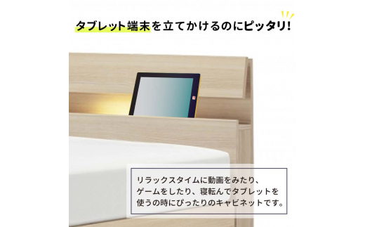 フランスベッド ファディアC2（電動リクライニングタイプ）  電動ベッド専用マットレス シングル　ウォールナット（KWN）  家具 F23R-370