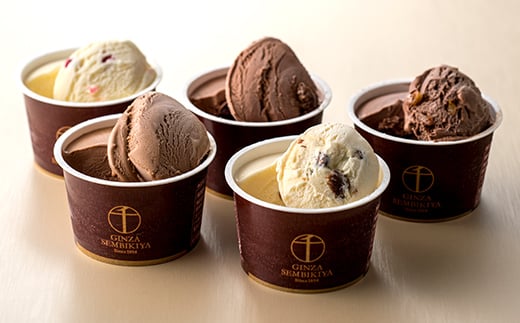 銀座千疋屋 銀座ショコラアイス 10個入り  アイス デザート スイーツ 菓子 食品 F23R-468