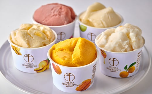 銀座千疋屋 銀座プレミアムソルベ 10個入り  アイス デザート スイーツ 菓子 食品 F23R-469