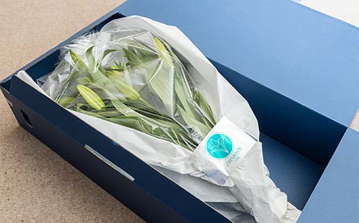 ユリ専門＜深花園＞観賞用ゆり オリエンタルリリー ピンク 3～4輪8本  植物 フラワー 花 F23R-502