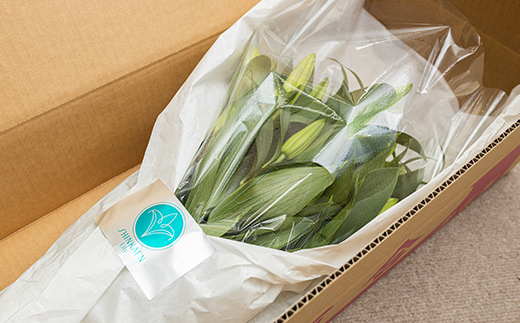 ユリ専門＜深花園＞観賞用ゆり オリエンタルリリー 白 3～4輪20本  植物 フラワー 花 F23R-507