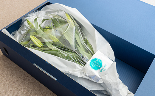 ＜先行予約 2024年10月下旬以降出荷～＞ユリ専門＜深花園＞観賞用ゆり オリエンタルリリー 八重ゆり 白 3～4輪6本  植物 フラワー 花 F23R-510