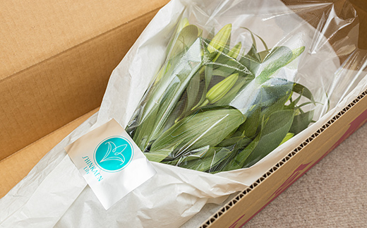 ＜先行予約 2024年10月下旬以降出荷～＞ユリ専門＜深花園＞観賞用ゆり オリエンタルリリー 八重ゆり 白 3～4輪20本  植物 フラワー 花 F23R-519