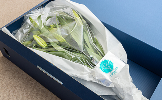 ユリ専門＜深花園＞観賞用ゆり オリエンタルリリー 白 5～6輪 6本  植物 フラワー 花 F23R-522