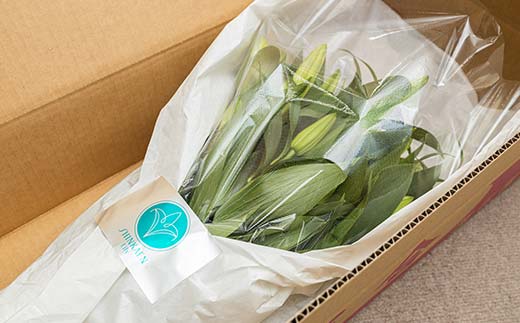 ユリ専門＜深花園＞観賞用ゆり オリエンタルリリー ピンク 5~6輪 20本  植物 フラワー 花 F23R-532