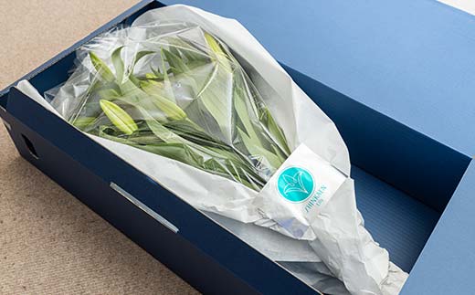 ユリ専門＜深花園＞観賞用ゆり オリエンタルリリー 訳あり優品ゆり （15輪以上保証） 植物 フラワー 花 F23R-545