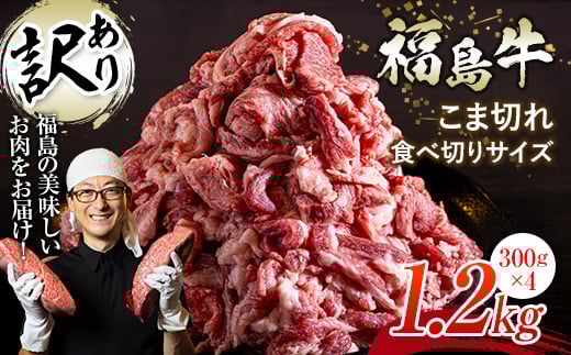 ＜訳あり＞限定 国産黒毛和牛 こま切れ食べ切りサイズ300g×4パック 合計1.2kg 小間切れ 牛肉 小分け お肉  牛 ビーフ 肉 食品 F23R-551